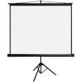 TRM-AV-70, Экран на штативе PL Magna 178x178 см (1:1) MW