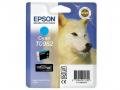 Картридж Epson C13T09694010 (St.Photo R2880 Light light black)